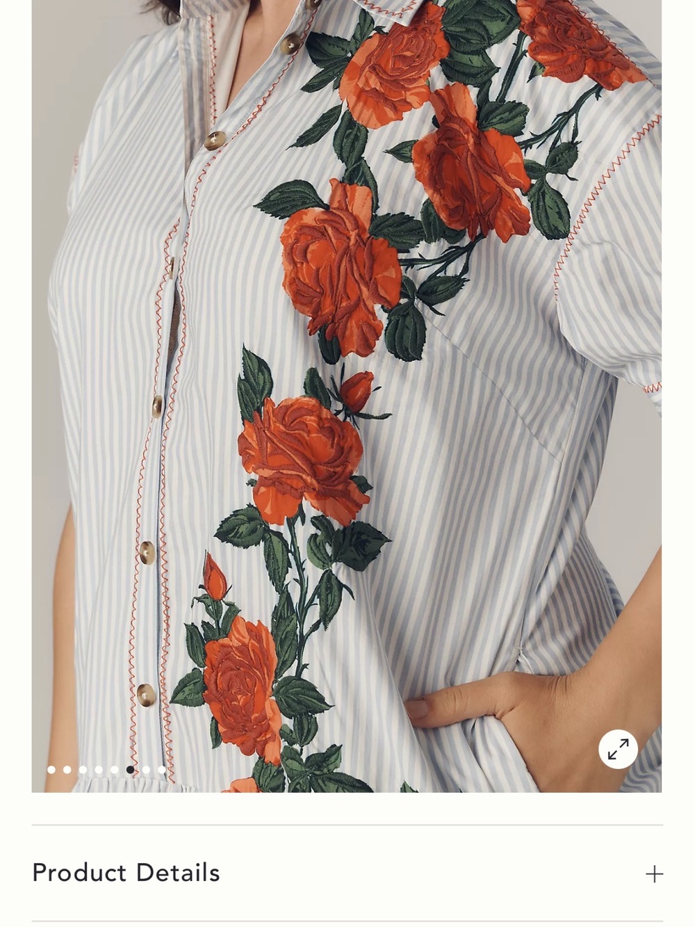 Maeve White & Green Striped Mini Dress with Red Rose Appliqué - Picture 7 of 9